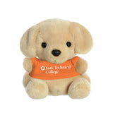 Aurora Palm Pals | Lab