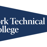 9x14 Pennant by Collegiate Pacific