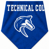 Large Triangle Pet Bandana